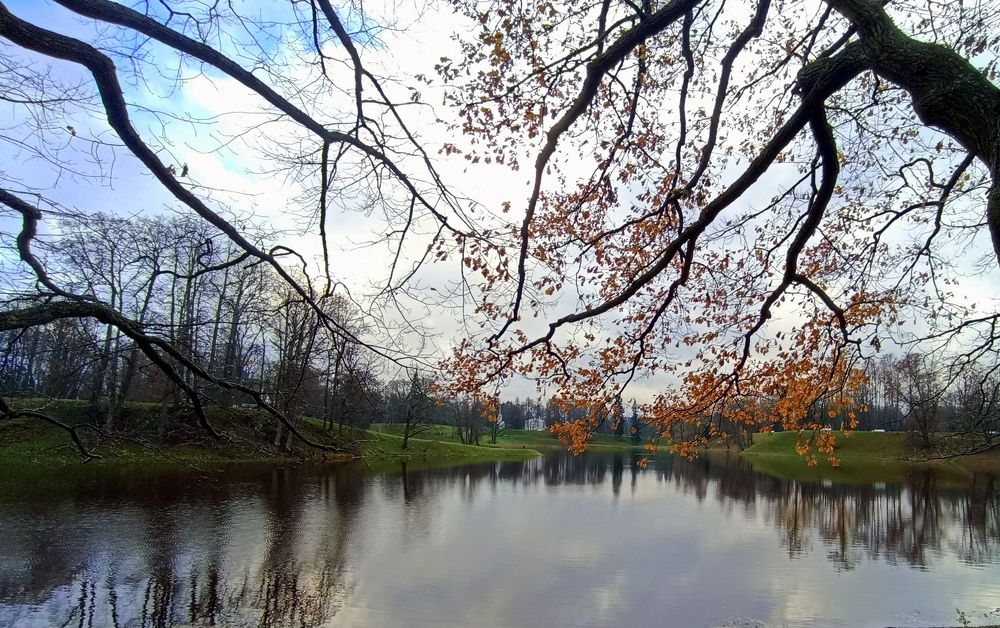 Photograph by Татьяна Смирнова