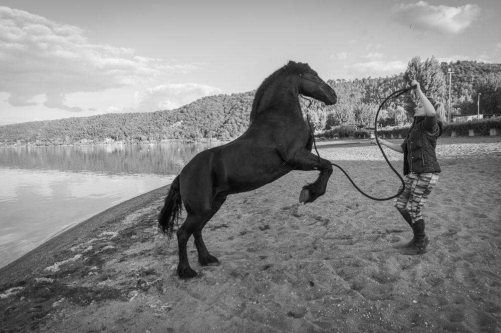 Photograph by Максимова Дария