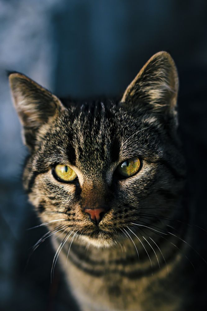 Photograph by Алексей Марченков