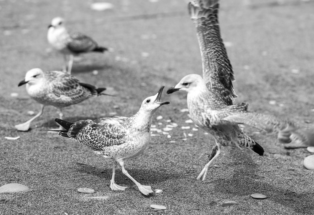 Photograph by Максимова Дария