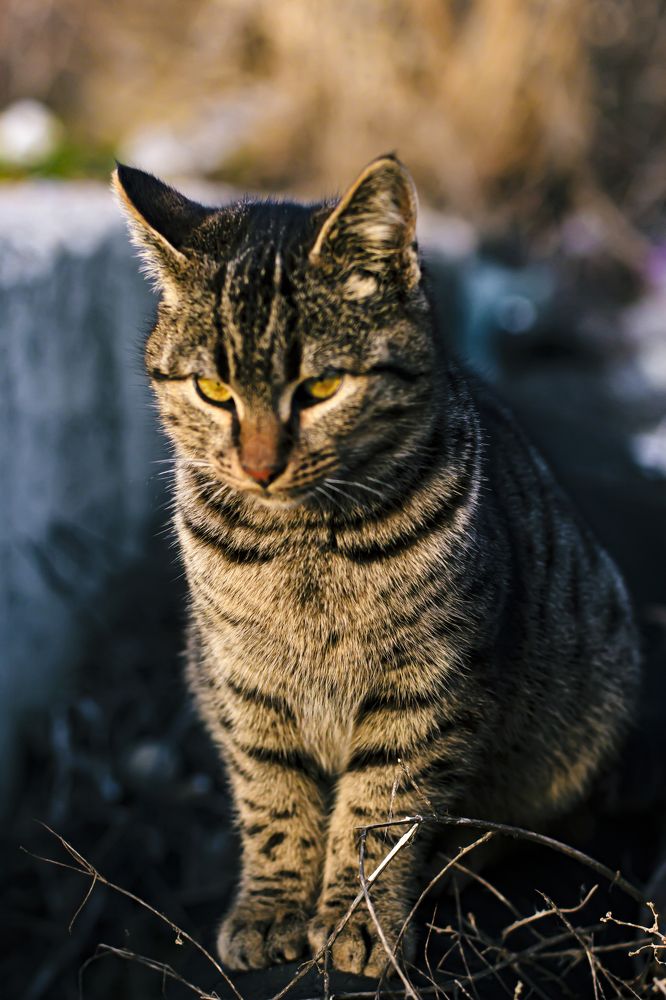 Photograph by Алексей Марченков