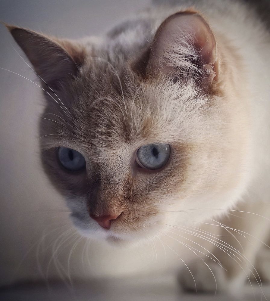 Photograph by Кира Бахвалова