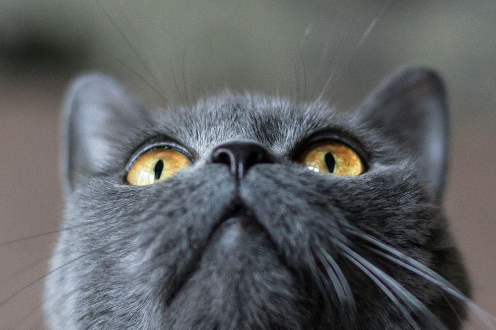 Photograph by Татьяна Степанова