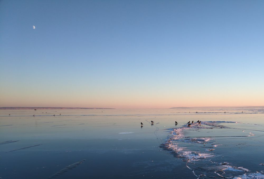 Фотография автора Андреянов А. В.
