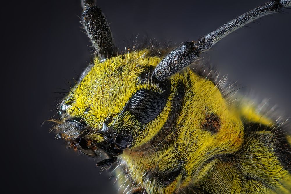 Photograph by Сергей Прокофьев