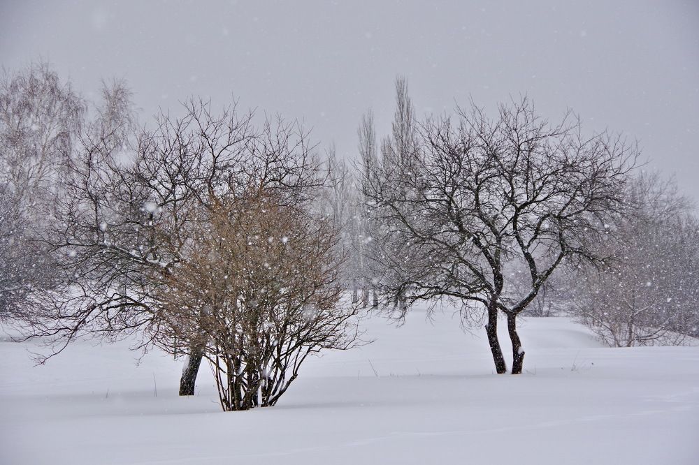 Photograph by Алексей Бородинов