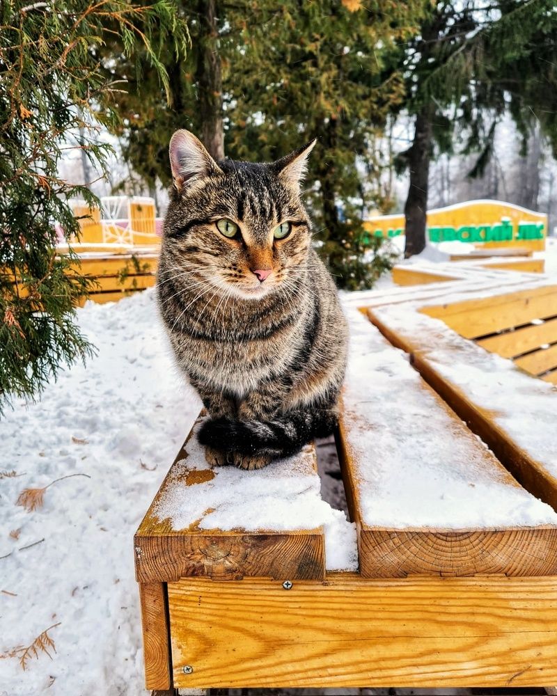 Photograph by Людмила Григорьева