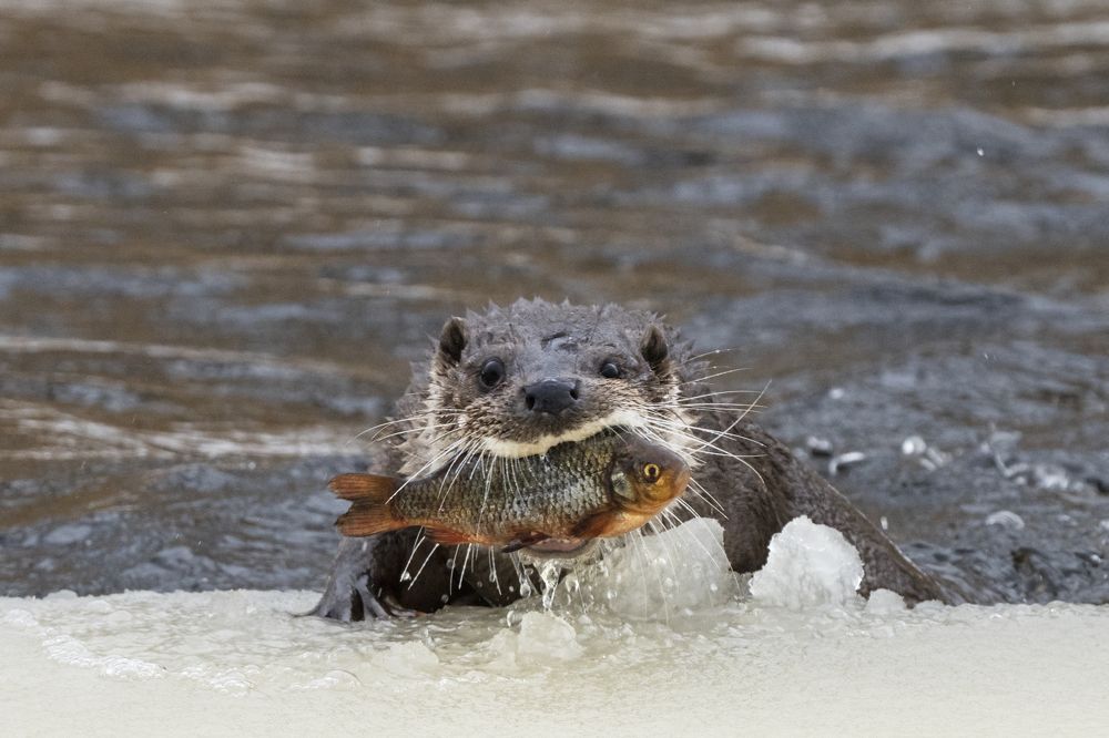 Photograph by Владимир Остапенко