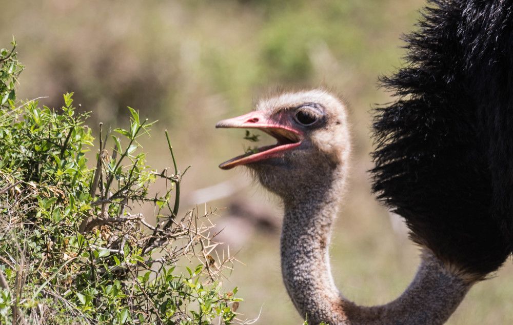 Photograph by Malinda Badenhorst