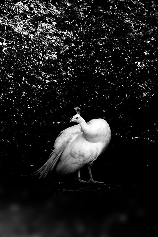 Photograph by Aleksandra Bondarczuk