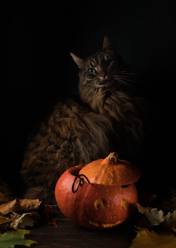 Photograph by Мария Богданова