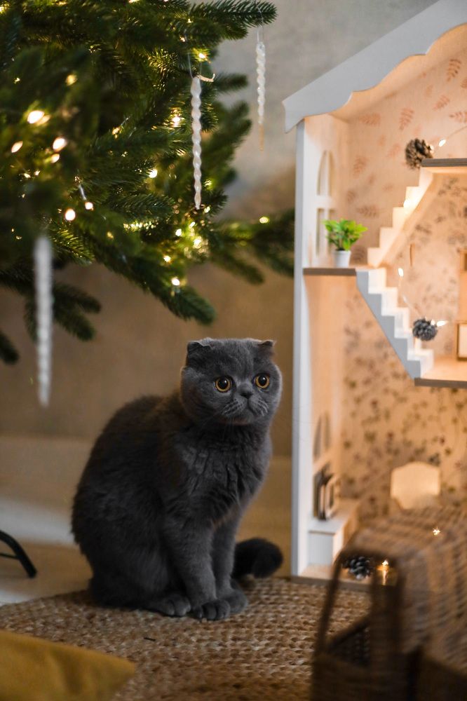 Photograph by Виктория Сирота