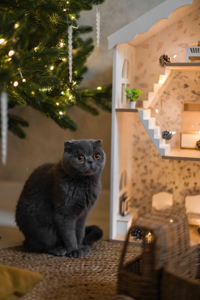 Photograph by Виктория Сирота