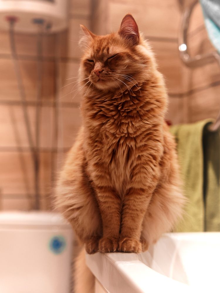 Photograph by Вячеслав Кирьянов