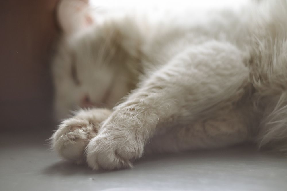 Photograph by Ульяна Кухновец