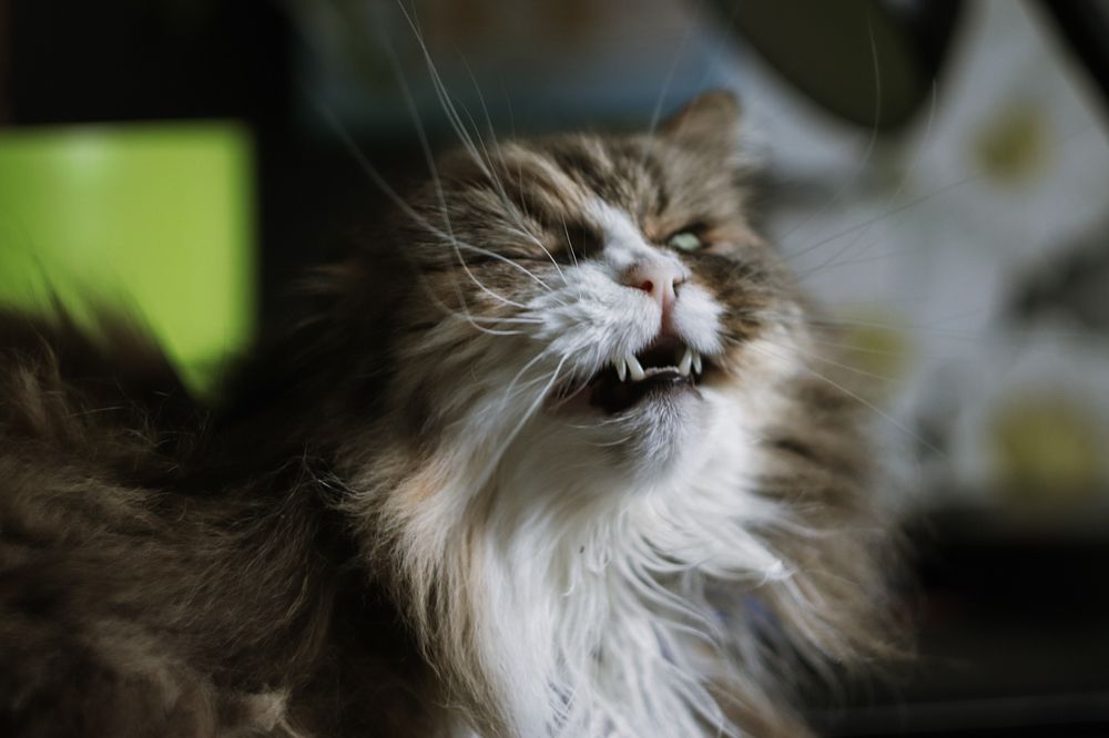 Photograph by Ульяна Кухновец