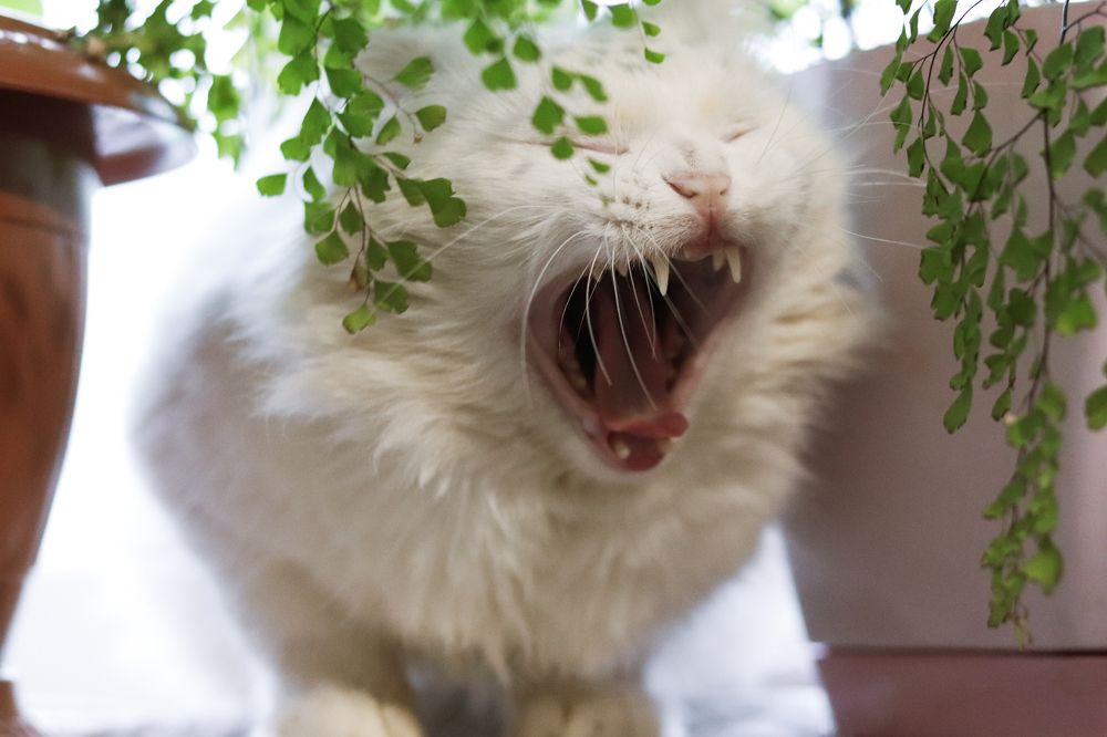 Photograph by Ульяна Кухновец