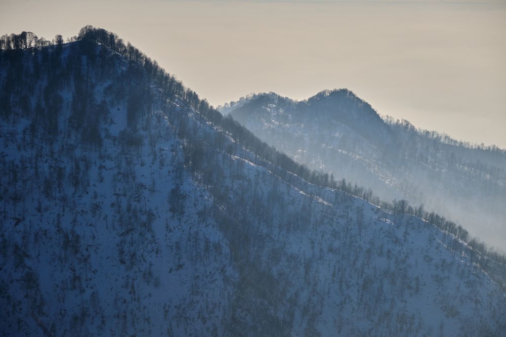 Photograph by Александр Фирстов