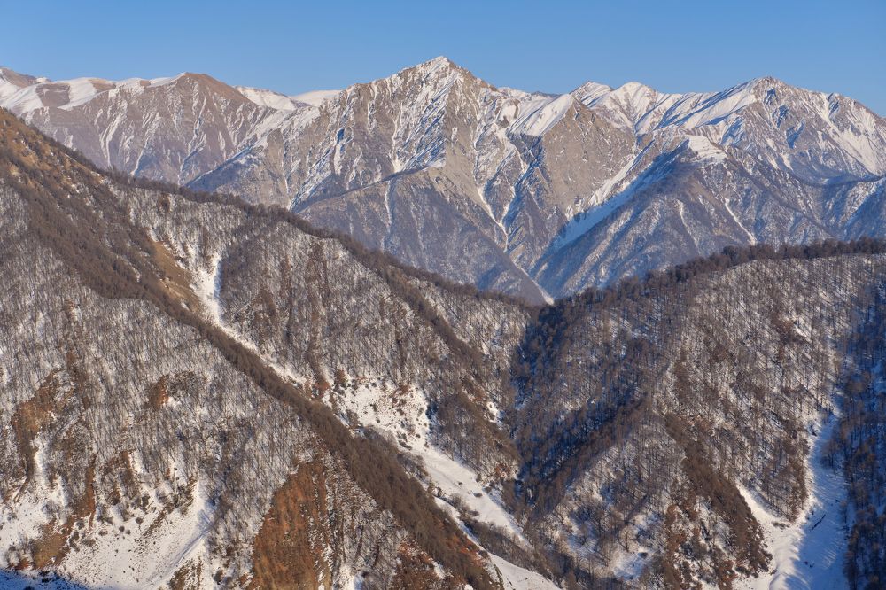 Photograph by Александр Фирстов