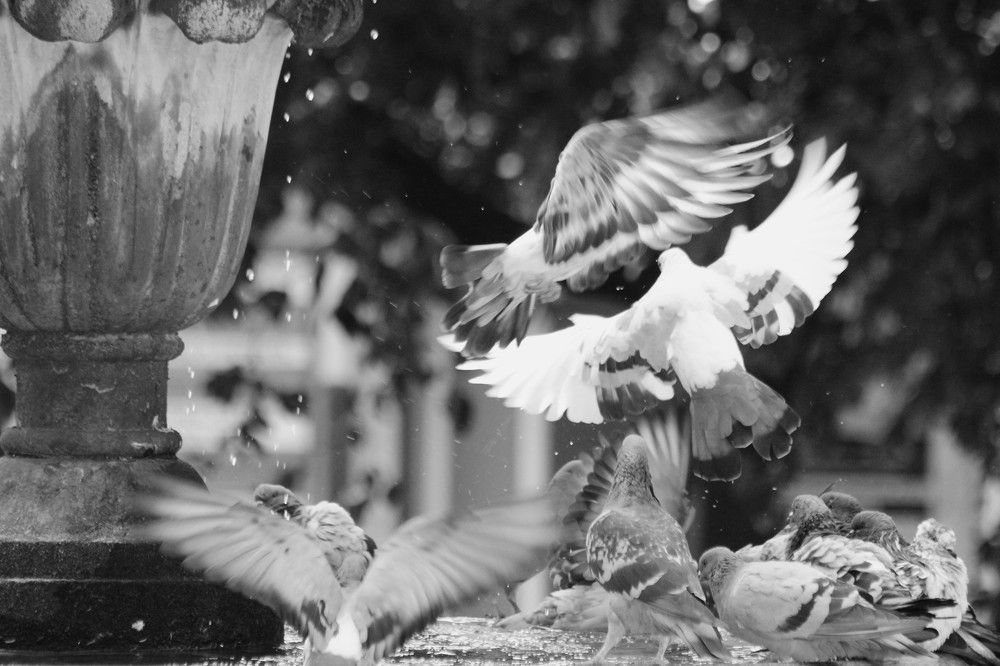 Photograph by Nadzeya