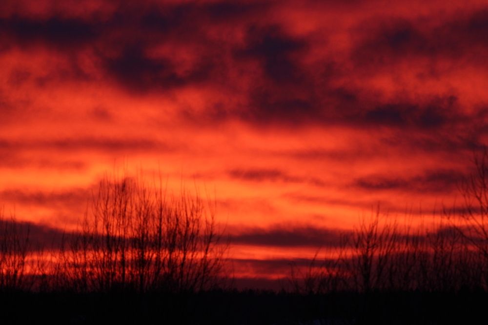 Photograph by Олеся Жакова