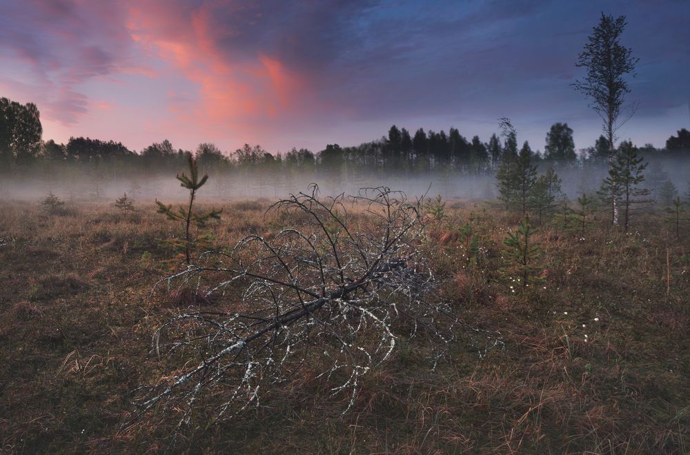 Photograph by SHE (Aiya) Таня