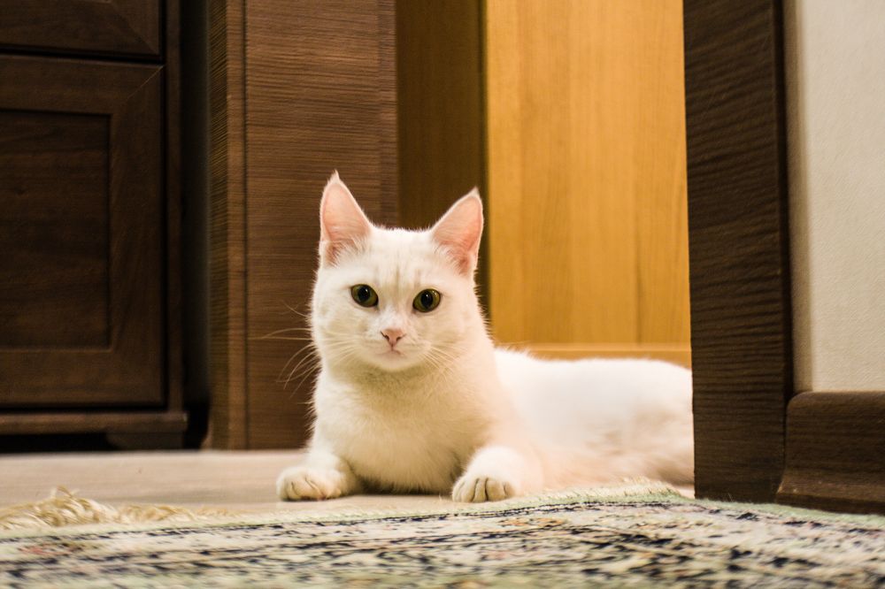 Photograph by Nikita