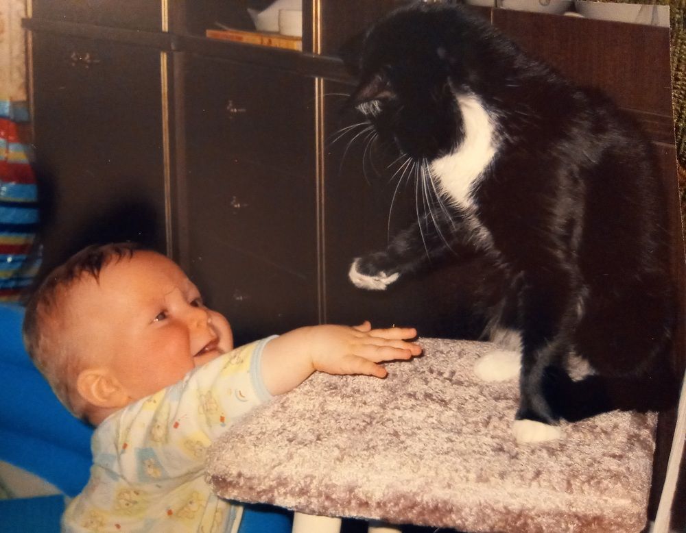 Знакомство.