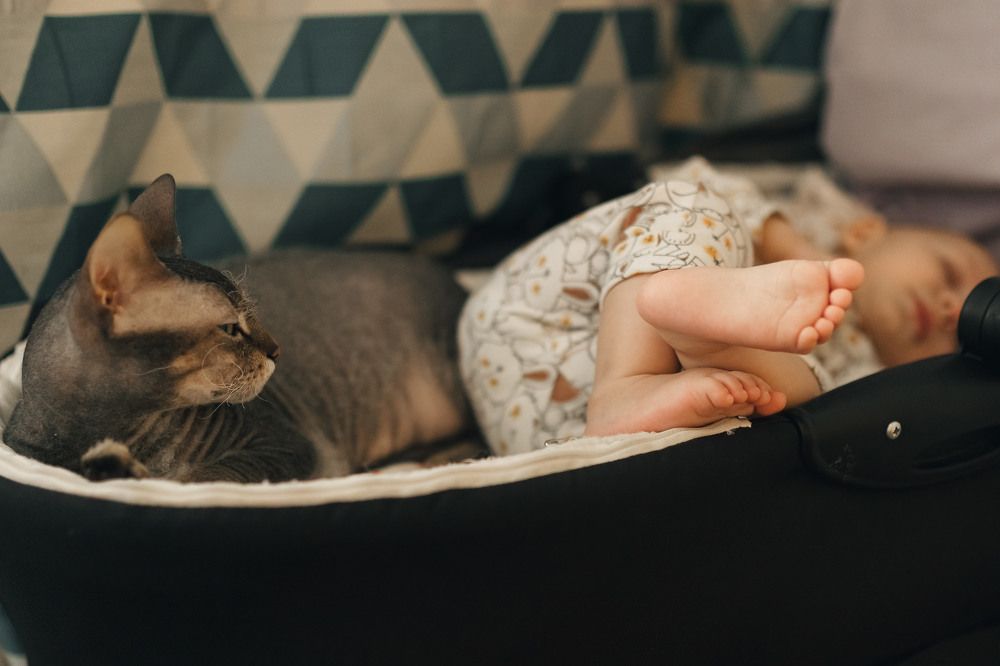 Photograph by Вера Олина