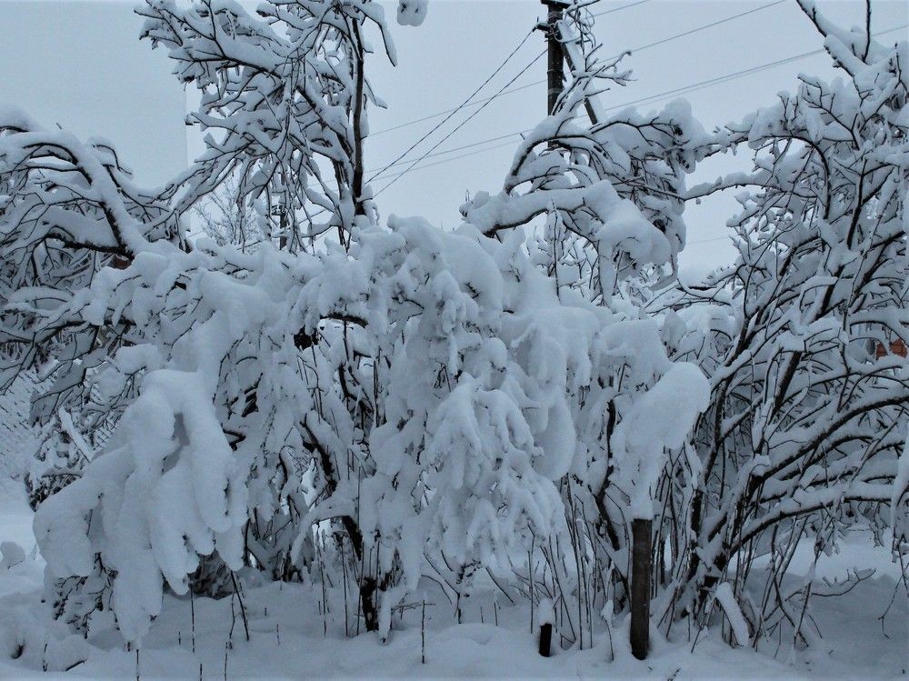 Фотография автора Таня Долгушева