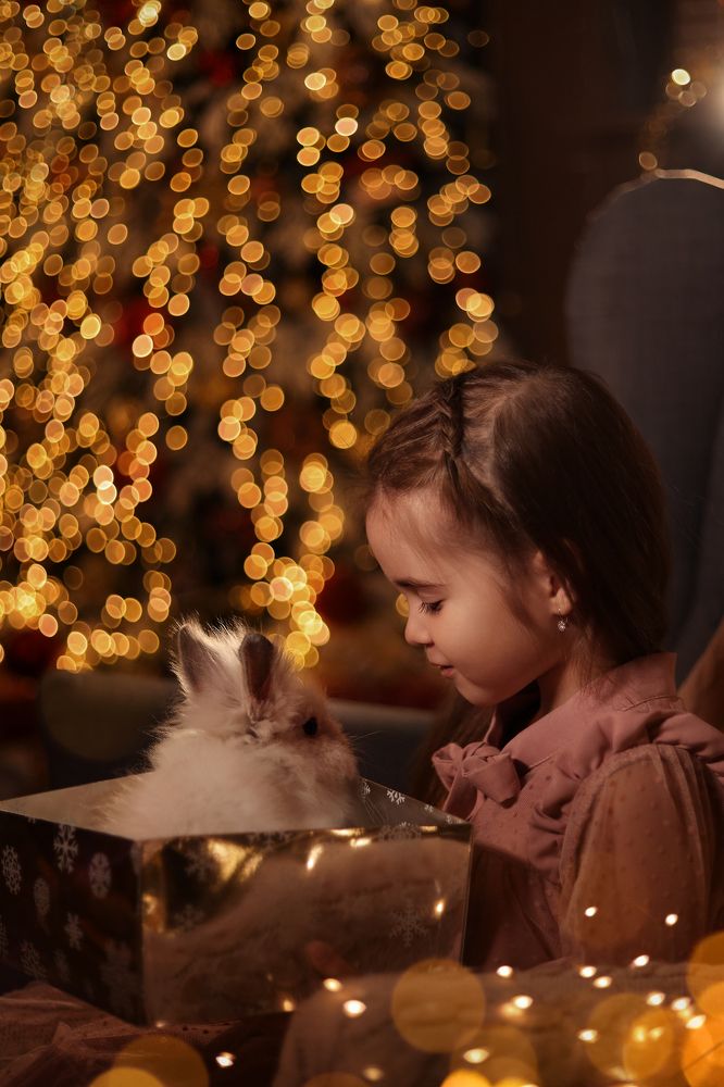 Photograph by Анастасия Пьянкова