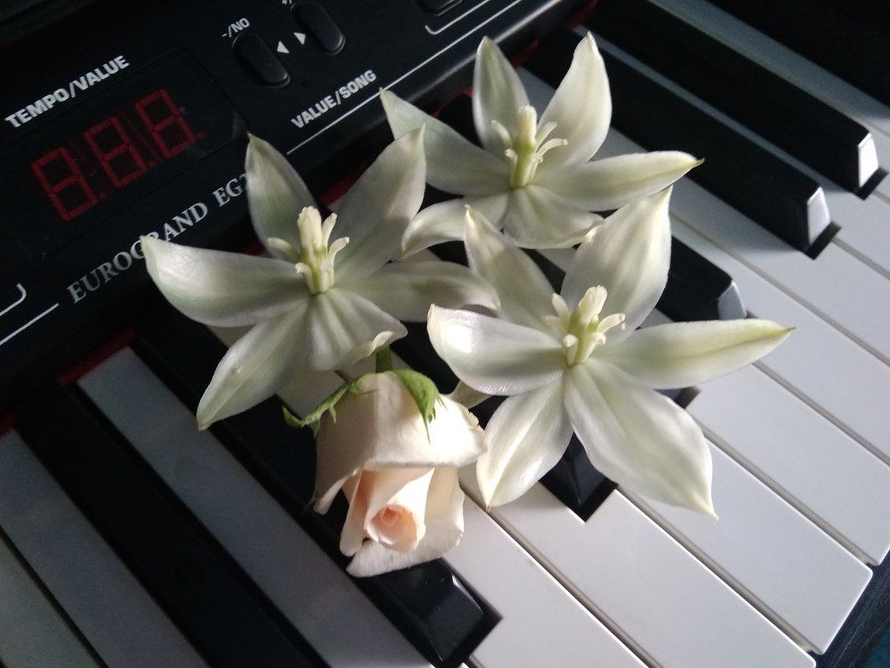 Photograph by Irinochka Zorina