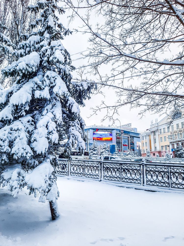 Фотография автора Irina Vornacheva