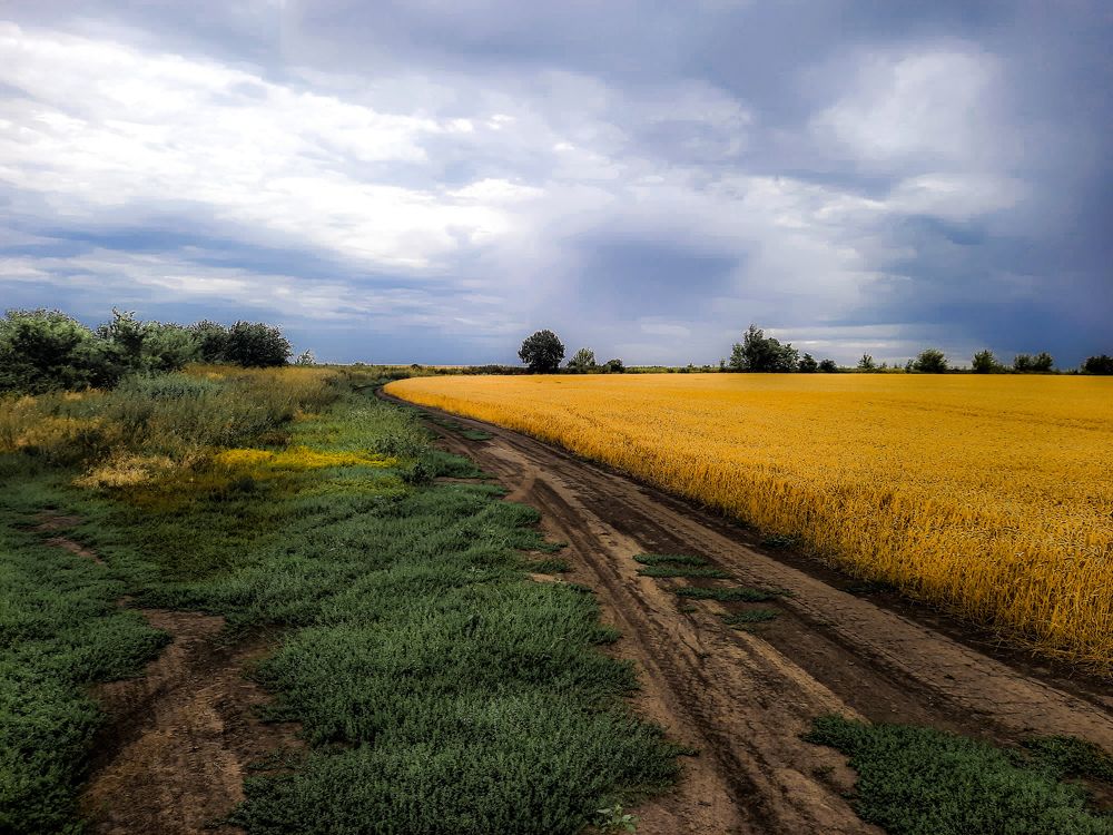 Фотография автора Irina Vornacheva