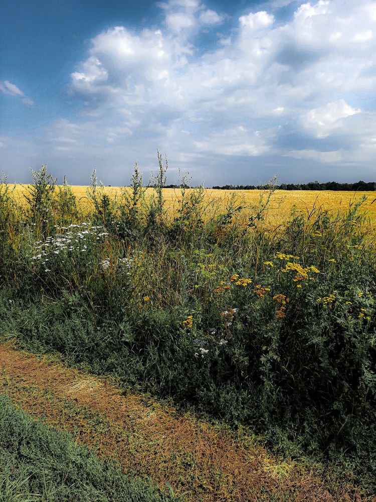 Фотография автора Irina Vornacheva