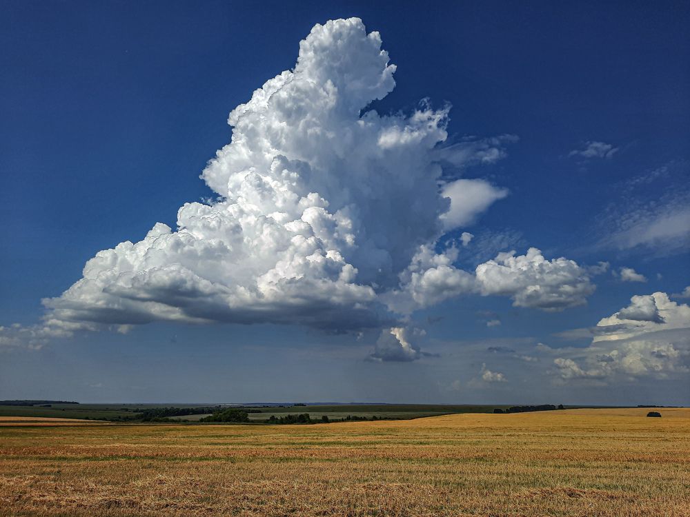 Фотография автора Irina Vornacheva