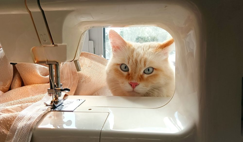 Котюрье / Catturier