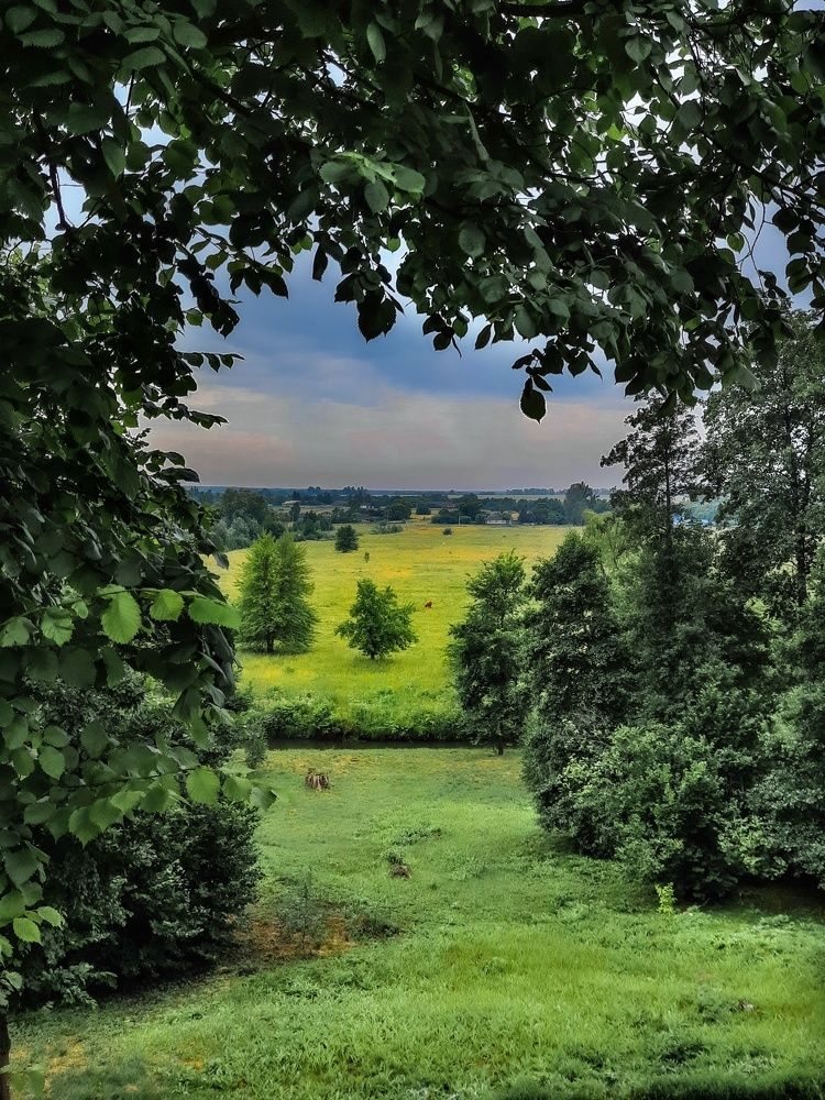 Фотография автора Irina Vornacheva