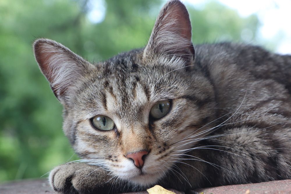 Photograph by владимир Заворотный