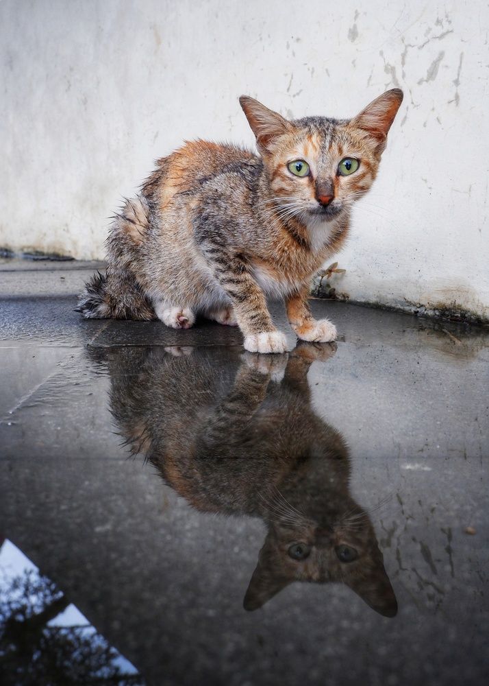 Photograph by dito adithia