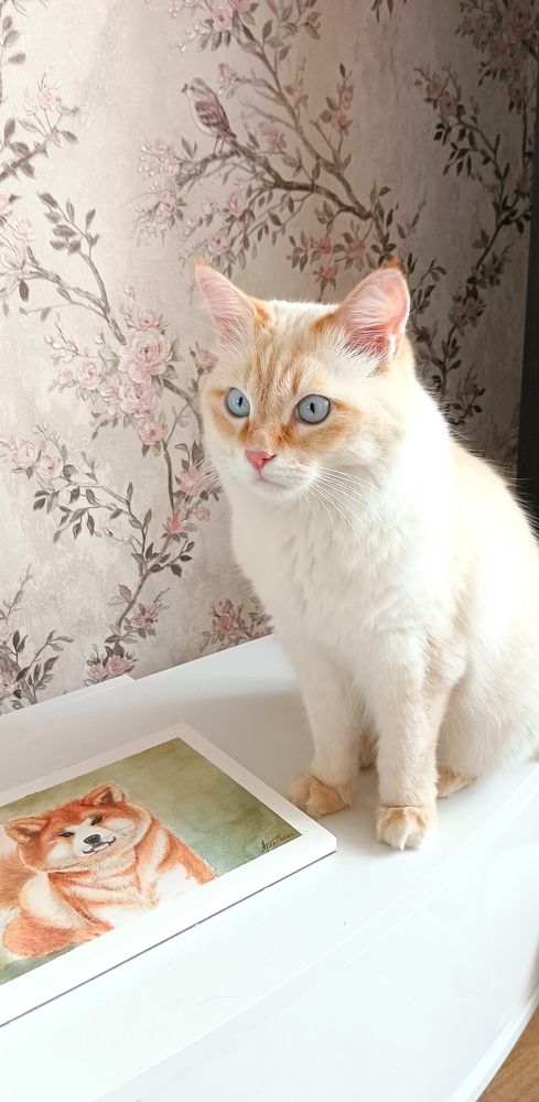 Художник анималист/Animal painter