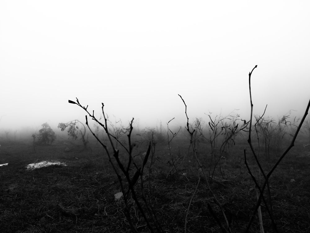 Photograph by Anupam Rai