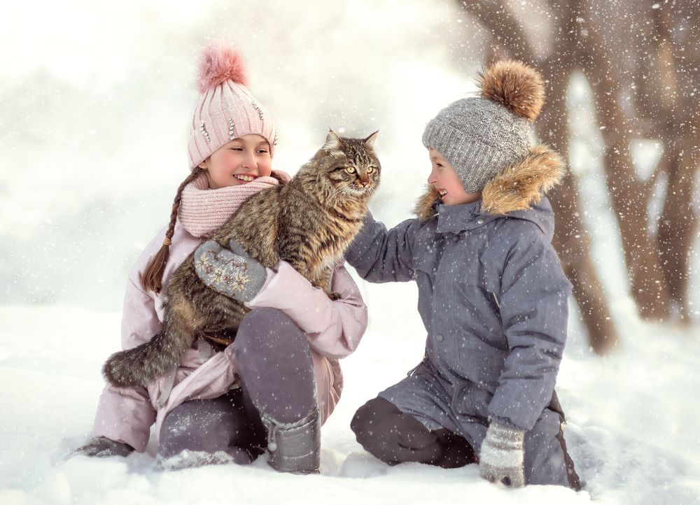 Photograph by Анастасия Пипко