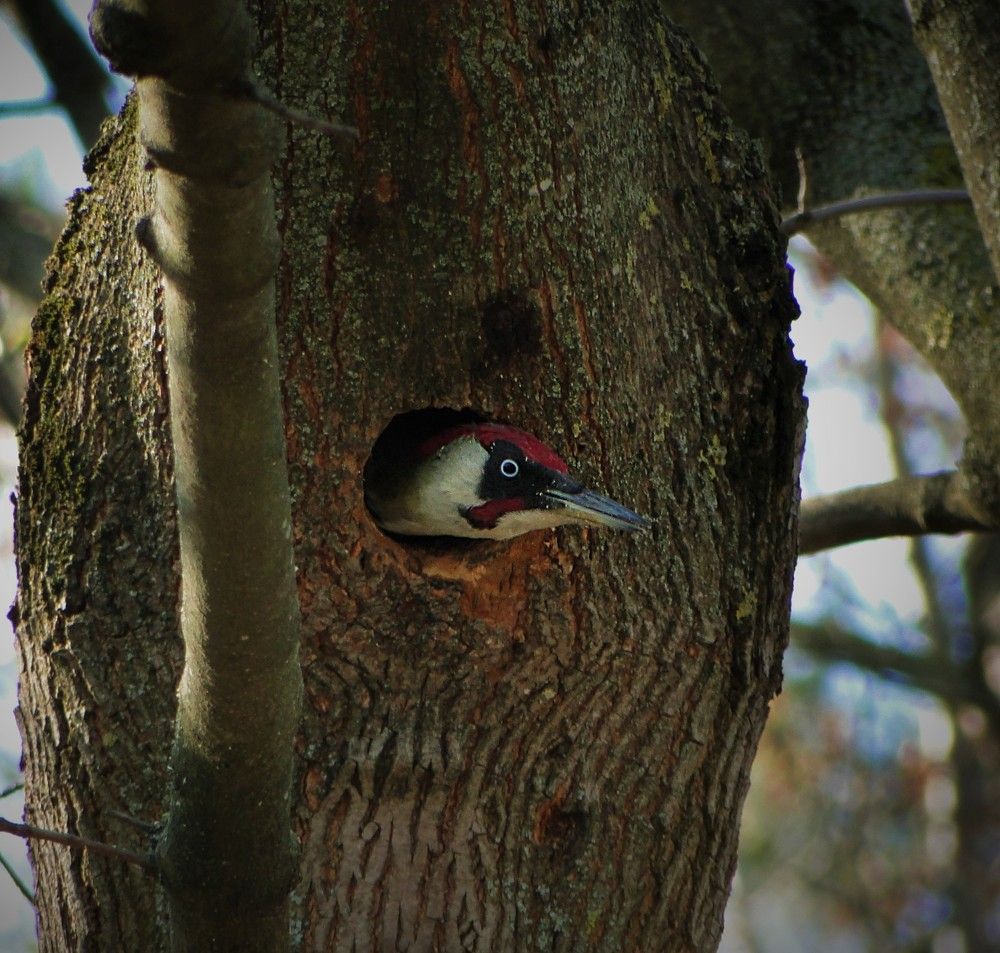 Photograph by Оксана Архипова
