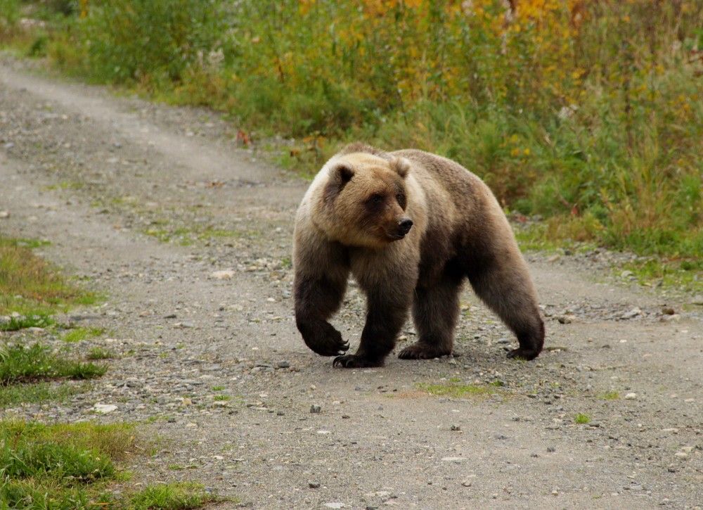 Photograph by Владимир