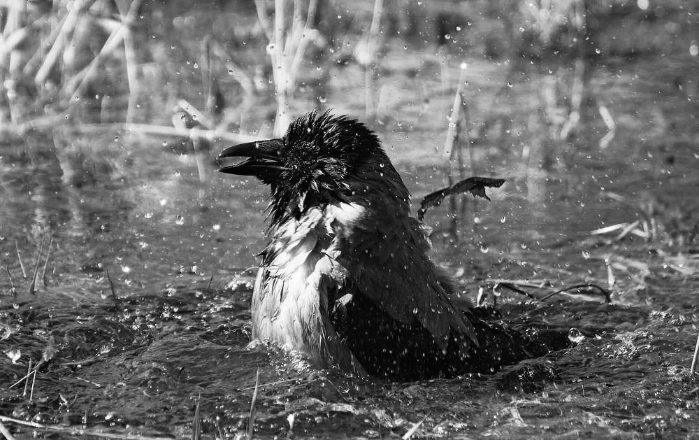 Фотография автора Галина