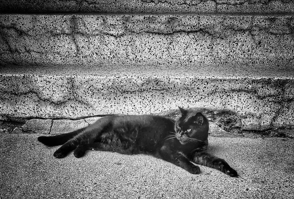 Photograph by Julien Bihan