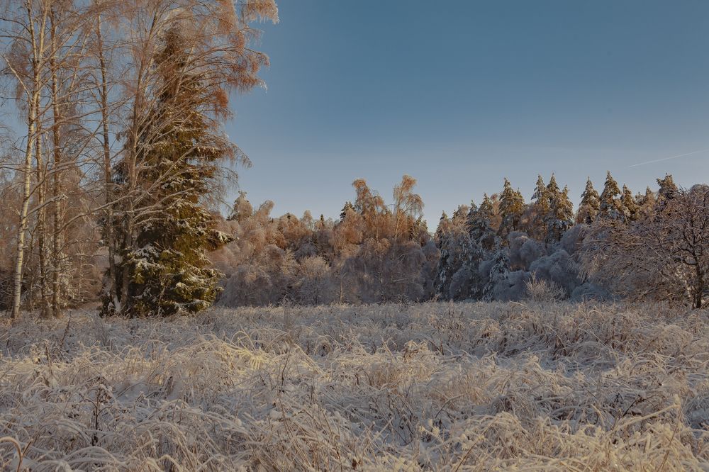 Фотография автора Вадим Лабитов