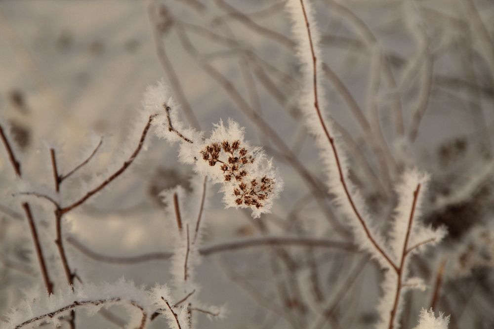 Photograph by Илья Беликов