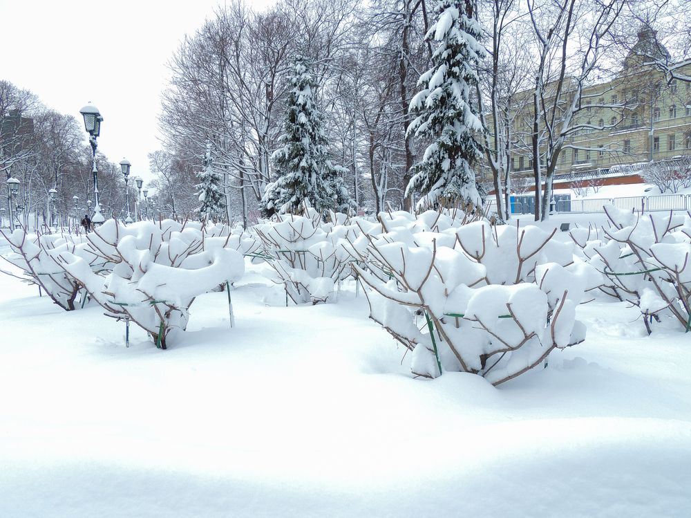 Photograph by Валентина Кваскова